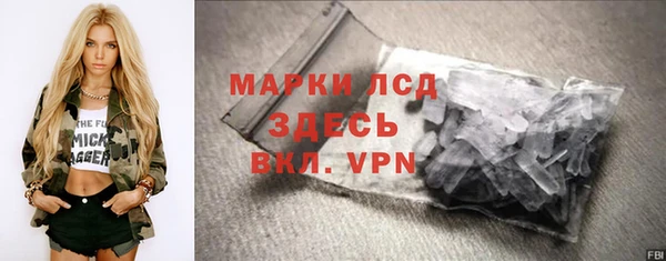 крисы Елабуга