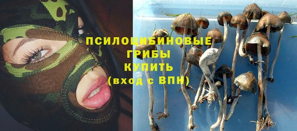 соль курить ск Ельня