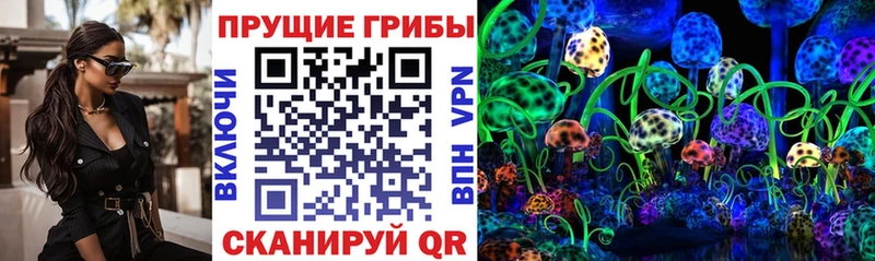 Галлюциногенные грибы MAGIC MUSHROOMS  наркотики  Сковородино 